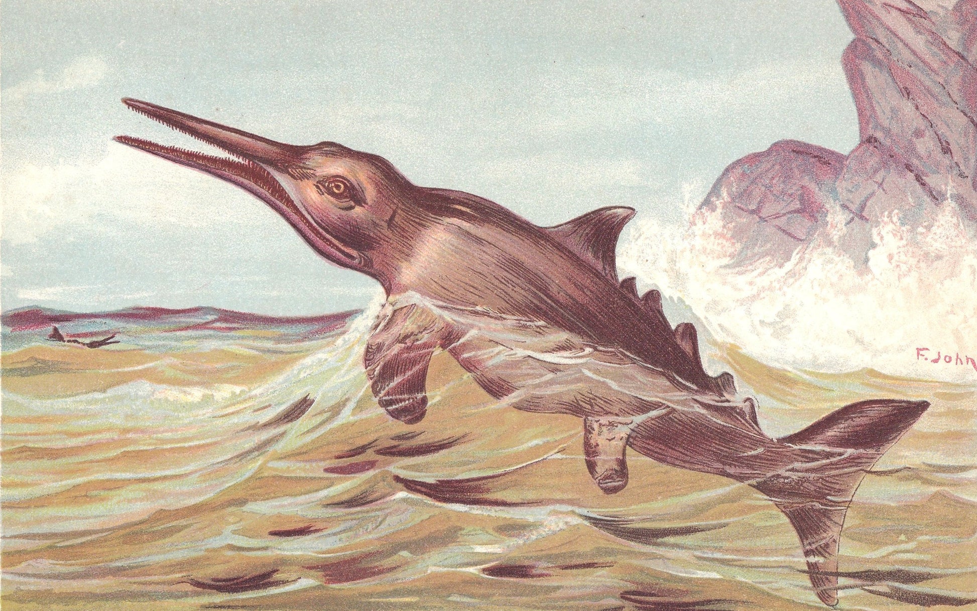 1902 ICHTHYOSAURUS DINOSAUR Print - Antique Dinosaur Print - Paleoart - Dinosaur Wall Art - 10.5 x 7.5 Inches