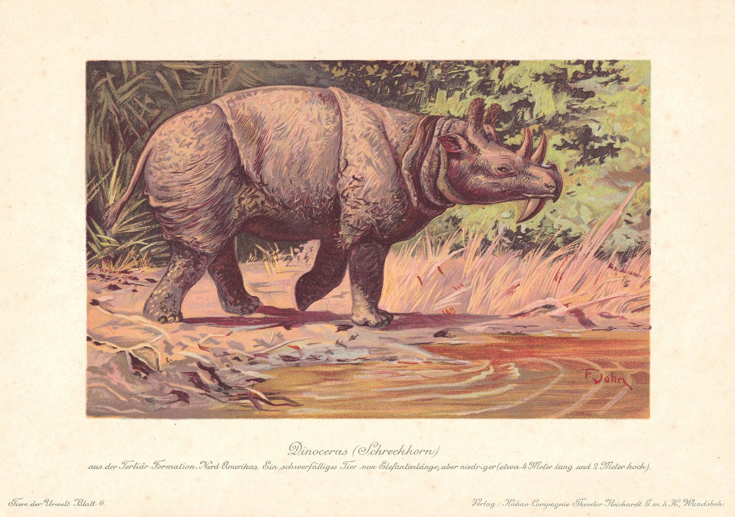 1902 DINOCEROS Print - Megafauna Print - Paleoart - Prehistoric Wall Art - 121 Years Old - 10.5 x 7.5 Inches