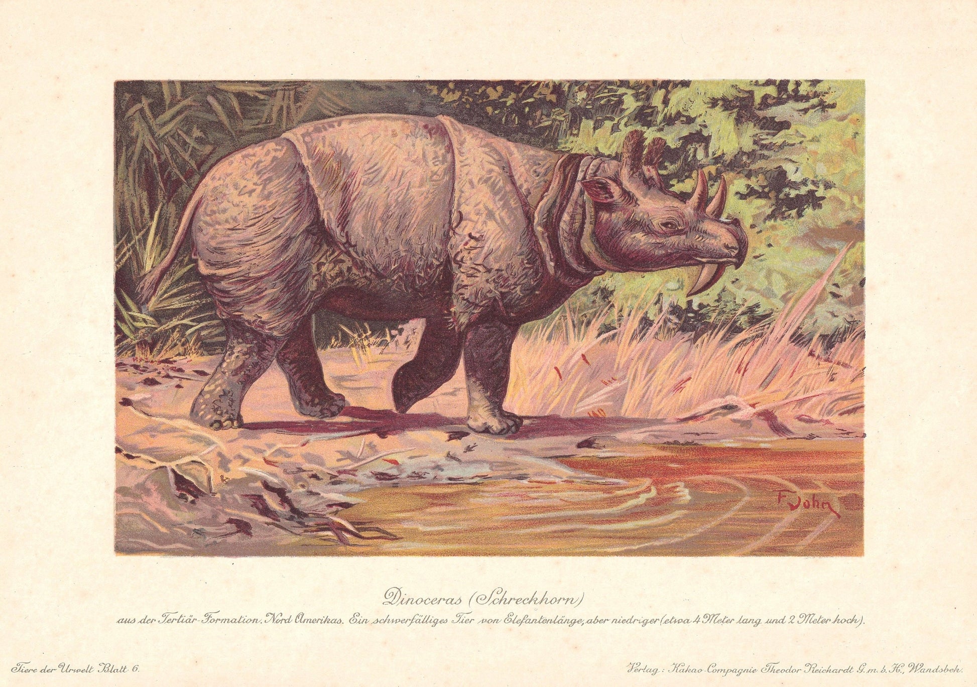 1902 DINOCEROS Print - Megafauna Print - Paleoart - Prehistoric Wall Art - 121 Years Old - 10.5 x 7.5 Inches