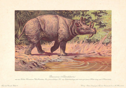 1902 DINOCEROS Print - Megafauna Print - Paleoart - Prehistoric Wall Art - 121 Years Old - 10.5 x 7.5 Inches