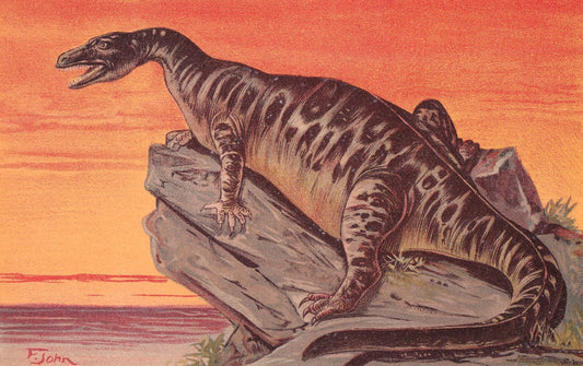 1902 IGUANODON DINOSAUR Print - Antique Dinosaur Print - Paleoart - Dinosaur Wall Art - 121 Years Old - 10.5 x 7.5 Inches