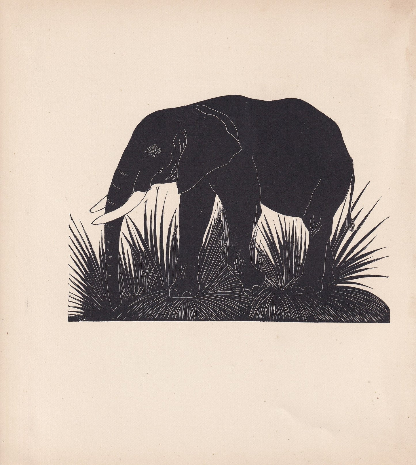 1929 ELEPHANT Print Wood Engraving - Elephant Wall Art - Zoology Print - Antique Animal Print - 94 Years Old - 8 x 7.25 Inche