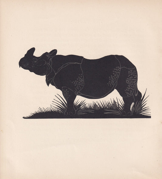 1929 RHINO Print Wood Engraving - Rhino Wall Art - Zoology Print - Antique Animal Print - 94 Years Old - 8 x 7.25 Inches