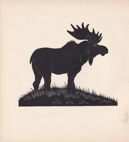 1929 MOOSE Print Wood Engraving - Elk Wall Art - Zoology Print - Antique Animal Print - 94 Years Old - 8 x 7.25 Inches