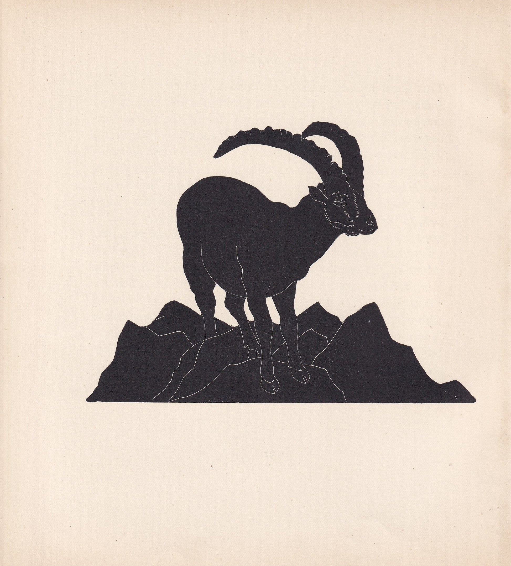 1929 IBEX Print Wood Engraving - Ibex Wall Art - Zoology Print - Antique Animal Print - 94 Years Old - 8 x 7.25 Inches