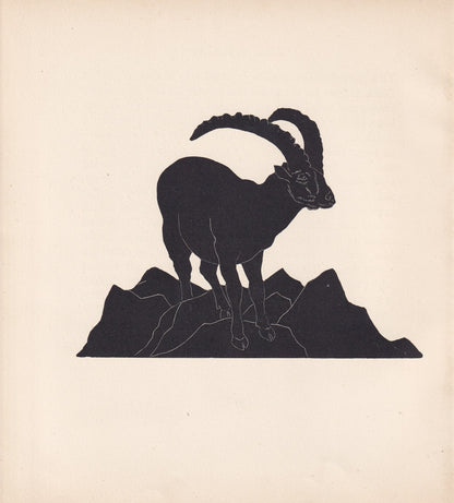 1929 IBEX Print Wood Engraving - Ibex Wall Art - Zoology Print - Antique Animal Print - 94 Years Old - 8 x 7.25 Inches