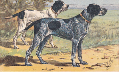 1931 AUVERGNE POINTER Print - Original Antique Hunting Dog Print - Animal Wall Art - Dog Wall Art - 92 Yrs Old - 11 x 7.75 In