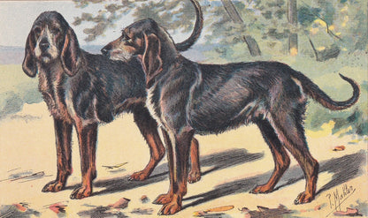 1931 CHIEN-GRIS DOG Print - Original Antique Hunting Dog Print - Dog Wall Art - 92 Years Old - 11 x 7.75 Inches