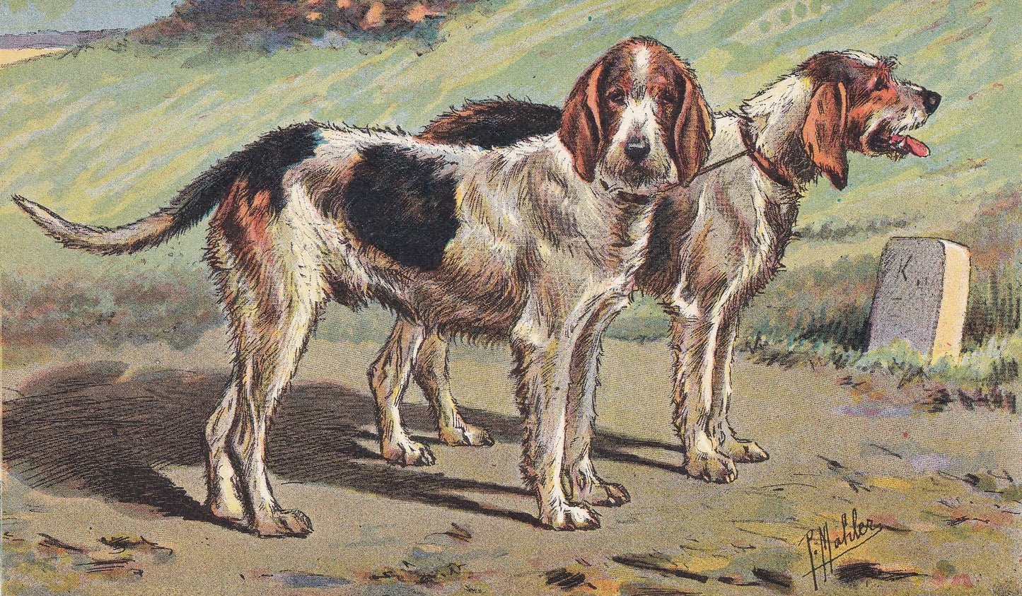 1931 GRIFFON NIVERNAIS DOG Print - Original Antique Hunting Dog Print - Dog Wall Art - 92 Years Old - 11 x 7.75 Inches