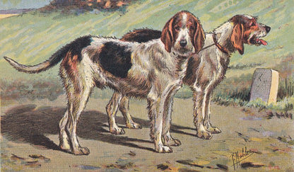 1931 GRIFFON NIVERNAIS DOG Print - Original Antique Hunting Dog Print - Dog Wall Art - 92 Years Old - 11 x 7.75 Inches