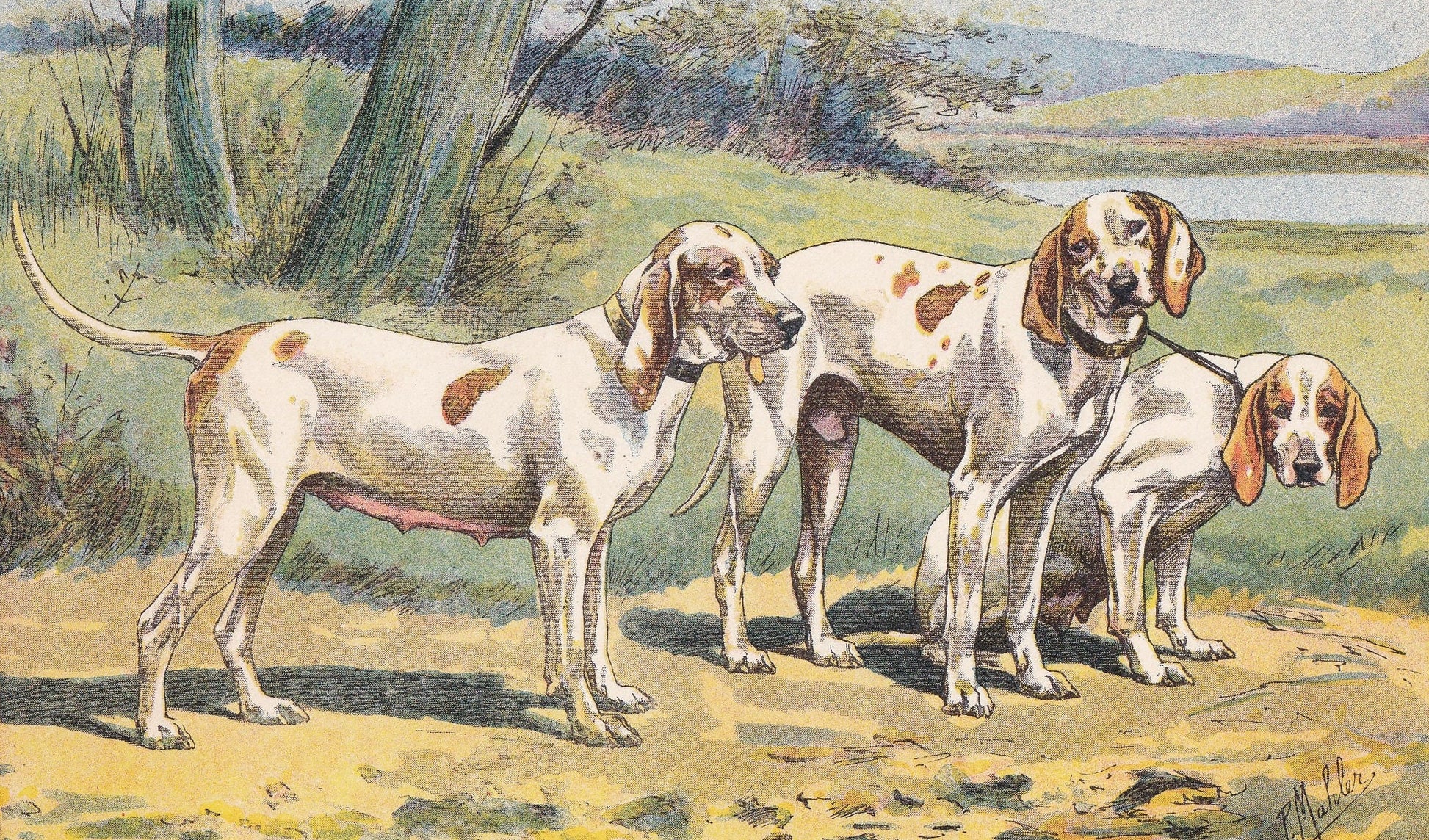 1931 PORCELAINE DOG Print - Original Antique Hunting Dog Print - Dog Wall Art - 92 Years Old - 11 x 7.75 Inches