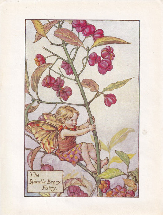 c. 1930 FLOWER FAIRY Print - The Spindle Berry Fairy - Flower Fairy Wall Art - Flower Fairy Art - 93 Years Old - 5.5 x 4 Inches