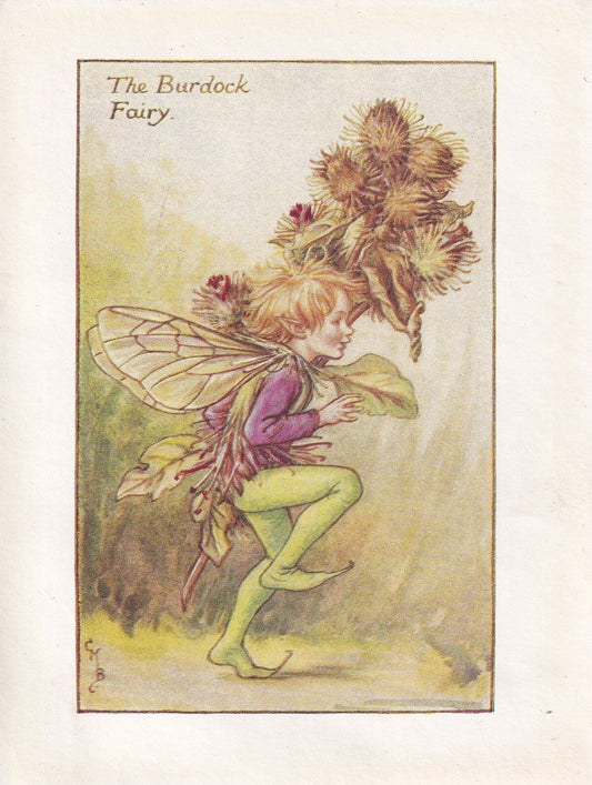 c. 1930 FLOWER FAIRY Print - The Burdock Fairy - Flower Fairy Wall Art - Flower Fairy Art - 93 Years Old - 5.5 x 4 Inches