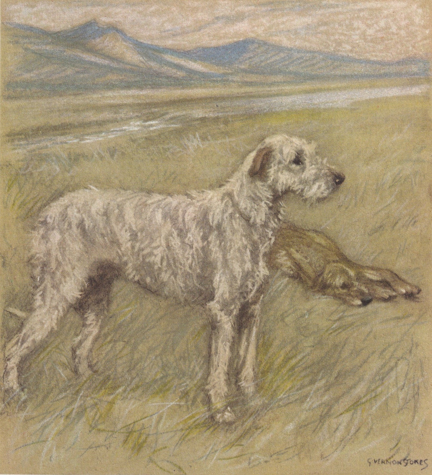 1947 IRISH WOLFHOUND DOG Print - Original Antique Dog Print - Vernon Stokes - Dog Wall Art - Dog Gift - 9.5 x 7.15 Inches