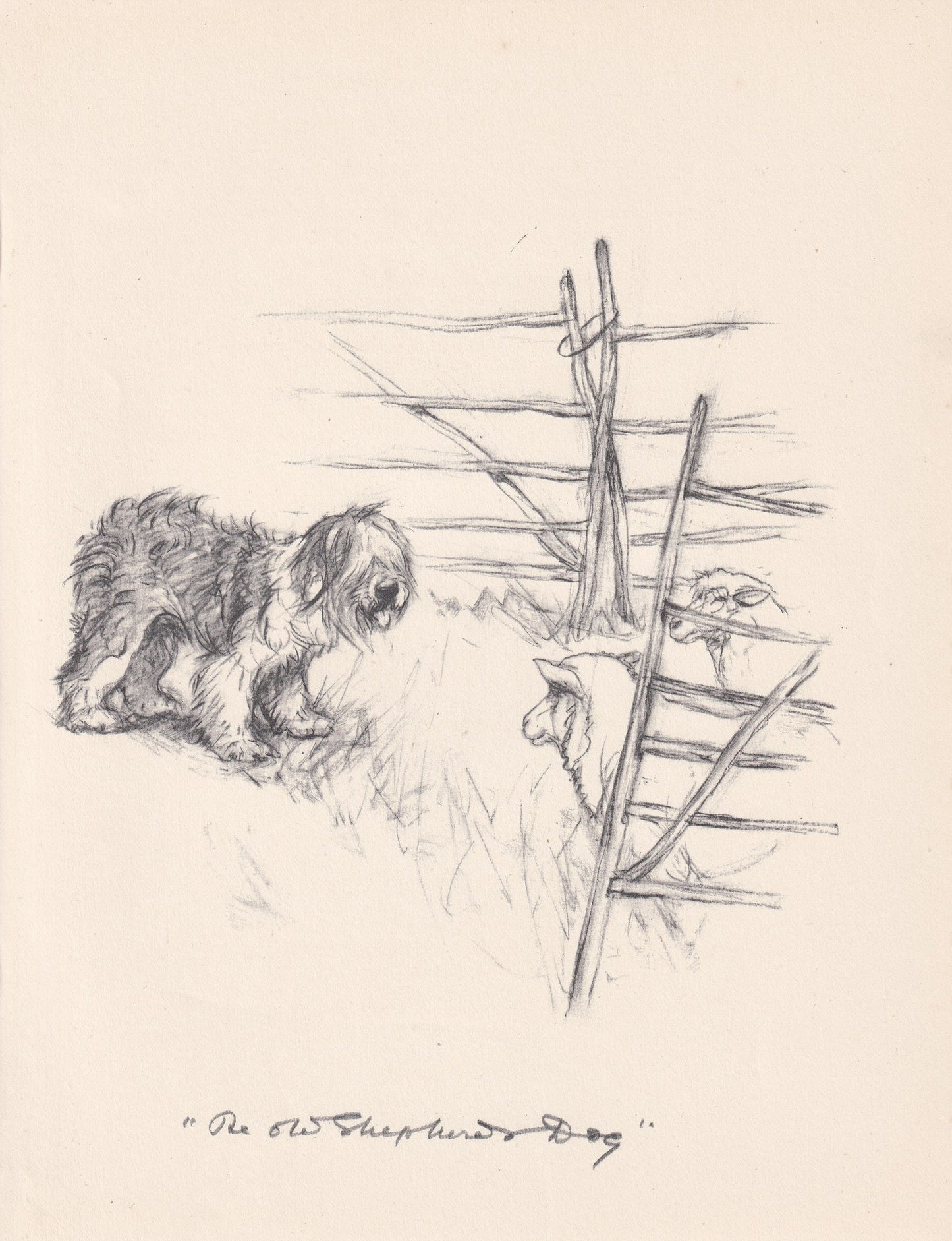 1936 OLD ENGLISH SHEEPDOG Print - Original Antique Dog Print - Vernon Stokes - Dog Wall Art - Dog Gift - 11 x 8.4 Inches