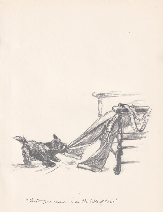 1936 SCOTTISH TERRIER DOG Print - Original Antique Dog Print - Vernon Stokes - Dog Wall Art - Dog Gift - 11 x 8.4 Inches