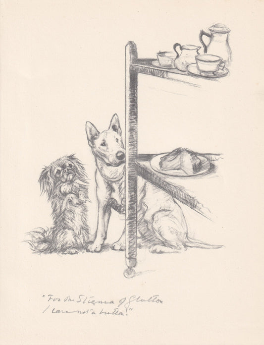 1936 PEKINGESE & BULL TERRIER Print - Original Antique Dog Print - Vernon Stokes - Dog Wall Art - Dog Gift - 11 x 8.4 Inches