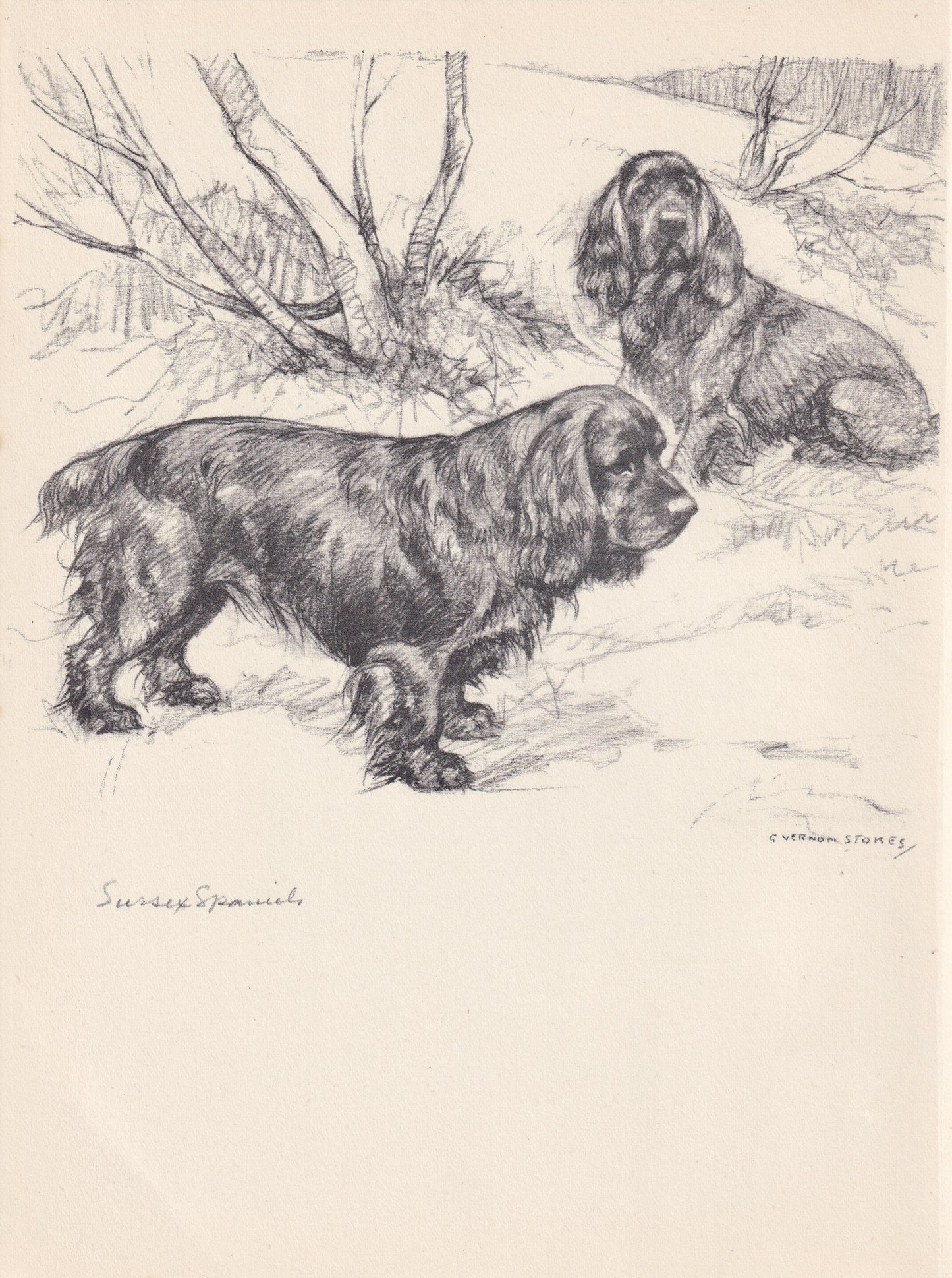 1938 SUSSEX SPANIEL DOG Print - Original Antique Dog Print - Vernon Stokes - Dog Wall Art - Dog Gift - 9.75 x 7.15 Inches
