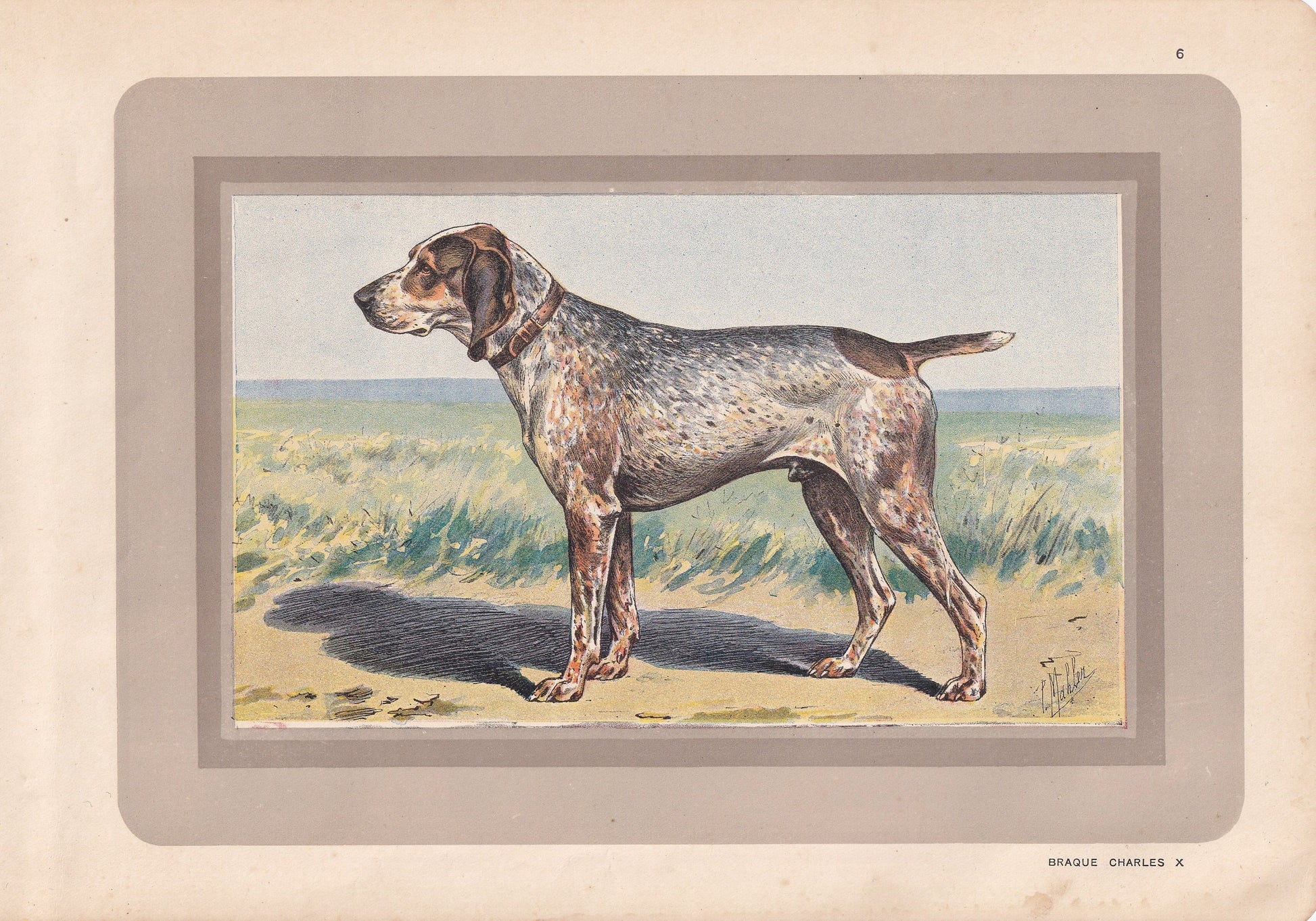 1931 BRAQUE CHARLES X Print - Original Antique Hunting Dog Print - Animal Wall Art - Dog Wall Art - 92 Yrs Old - 11 x 7.75 Inches