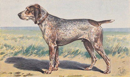 1931 BRAQUE CHARLES X Print - Original Antique Hunting Dog Print - Animal Wall Art - Dog Wall Art - 92 Yrs Old - 11 x 7.75 Inches