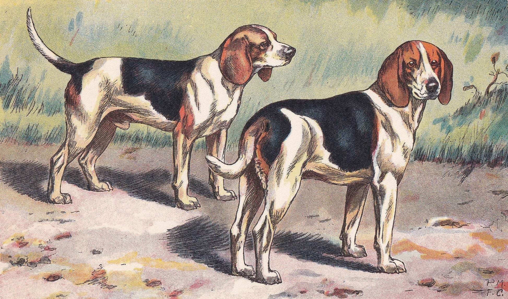 1931 BEAGLE DOG Print - Original Antique Hunting Dog Print - Dog Wall Art - 92 Years Old - 11 x 7.75 Inches