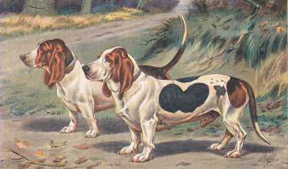 1931 BASSET DOG Print - Original Antique Hunting Dog Print - Dog Wall Art - 92 Years Old - 11 x 7.75 Inches