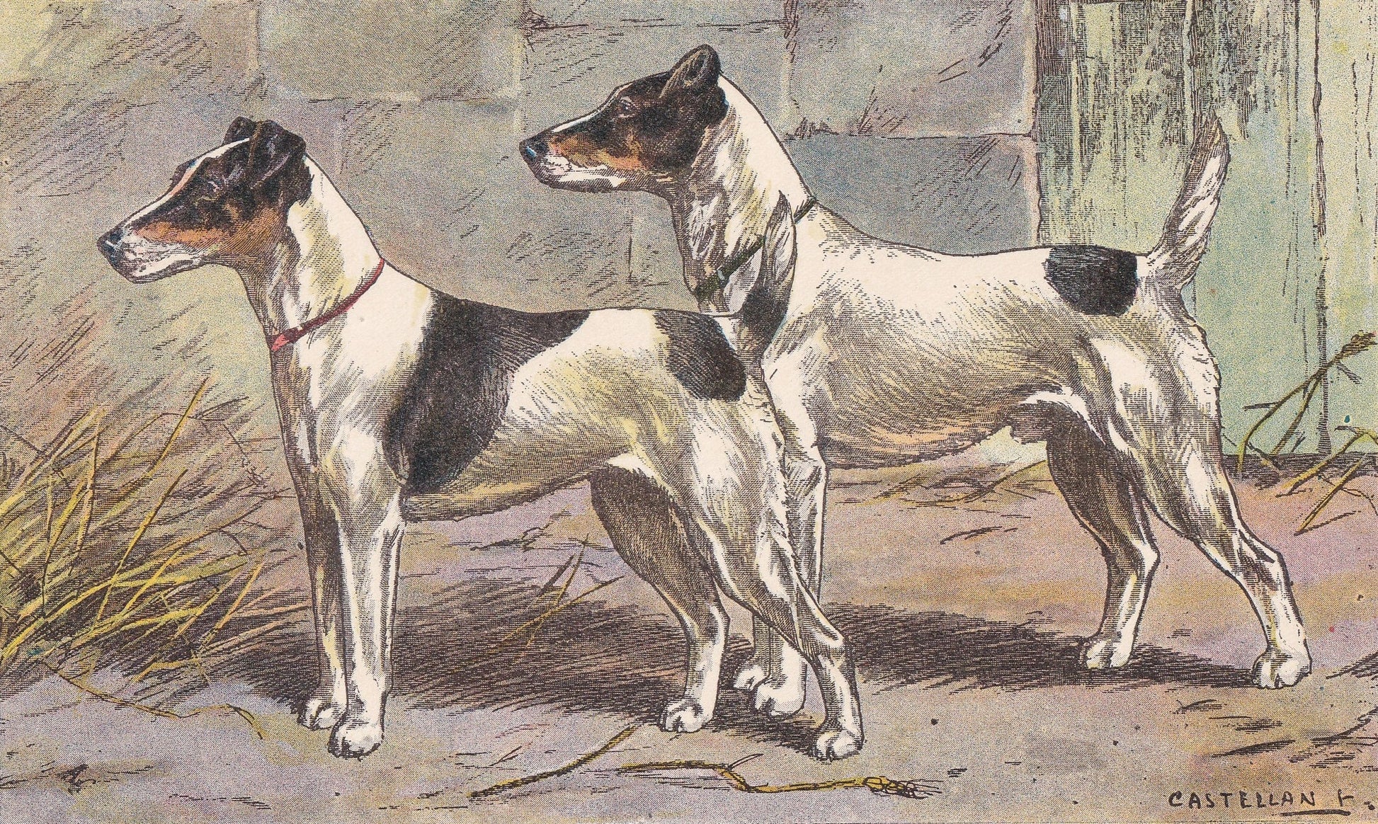 1931 FOX TERRIER Print - Original Antique Hunting Dog Print - Dog Wall Art - 92 Years Old - 11 x 7.75 Inches