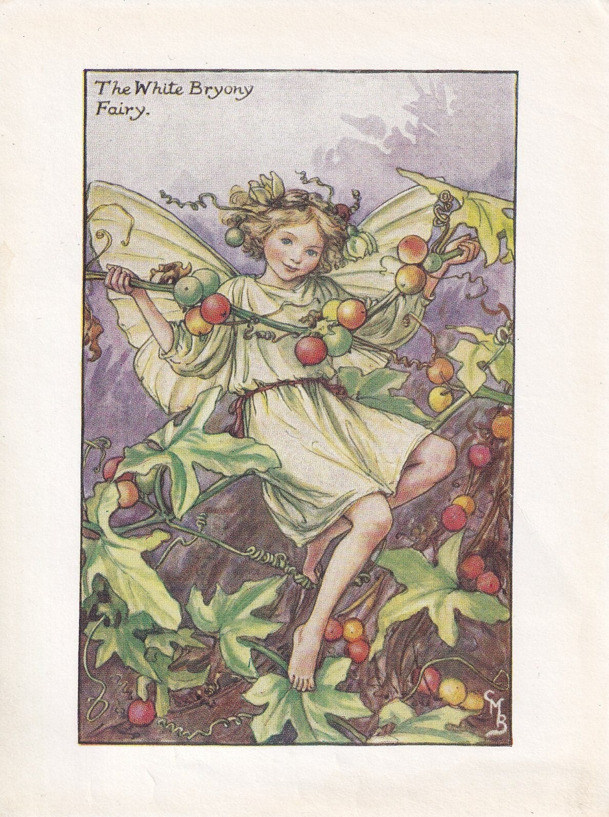 c. 1930 FLOWER FAIRY Print - The White Bryony Fairy - Flower Fairy Wall Art - Flower Fairy Art - 93 Years Old - 5.5 x 4 Inches
