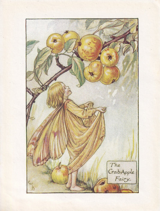 c. 1930 FLOWER FAIRY Print - The Crab-Apple Fairy - Flower Fairy Wall Art - Flower Fairy Art - 93 Years Old - 5.5 x 4 Inches