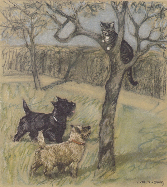 1947 SCOTTY & CAIRN DOG Print - Original Antique Dog Print - Vernon Stokes - Dog Wall Art - Dog Gift - 9.5 x 7.15 Inches