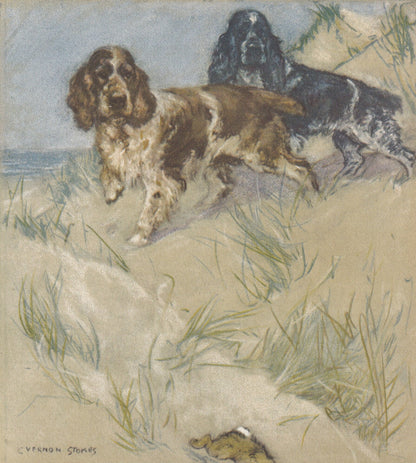 1947 SPANIEL DOG Print - Original Antique Dog Print - Vernon Stokes - Dog Wall Art - Dog Gift - 9.5 x 7.15 Inches