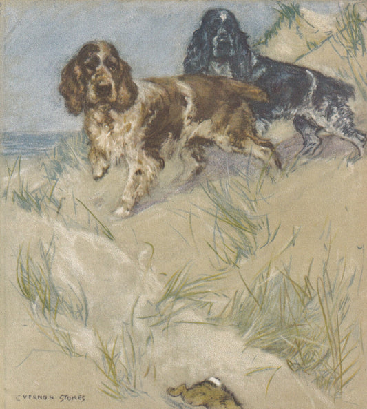 1947 SPANIEL DOG Print - Original Antique Dog Print - Vernon Stokes - Dog Wall Art - Dog Gift - 9.5 x 7.15 Inches