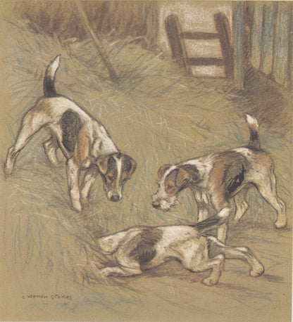 1947 FOX TERRIER DOG Print - Original Antique Dog Print - Vernon Stokes - Dog Wall Art - Dog Gift - 9.5 x 7.15 Inches