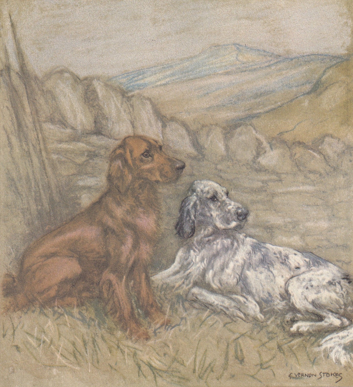 1947 SETTER DOG Print - Original Antique Dog Print - Vernon Stokes - Dog Wall Art - Dog Gift - 9.5 x 7.15 Inches