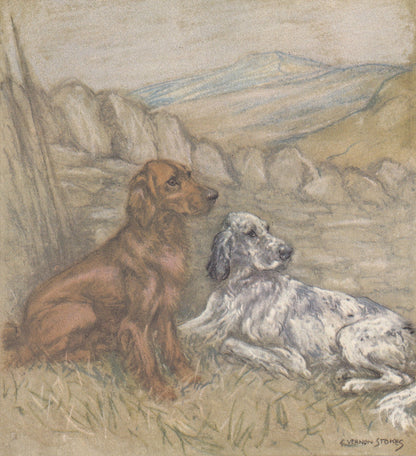 1947 SETTER DOG Print - Original Antique Dog Print - Vernon Stokes - Dog Wall Art - Dog Gift - 9.5 x 7.15 Inches