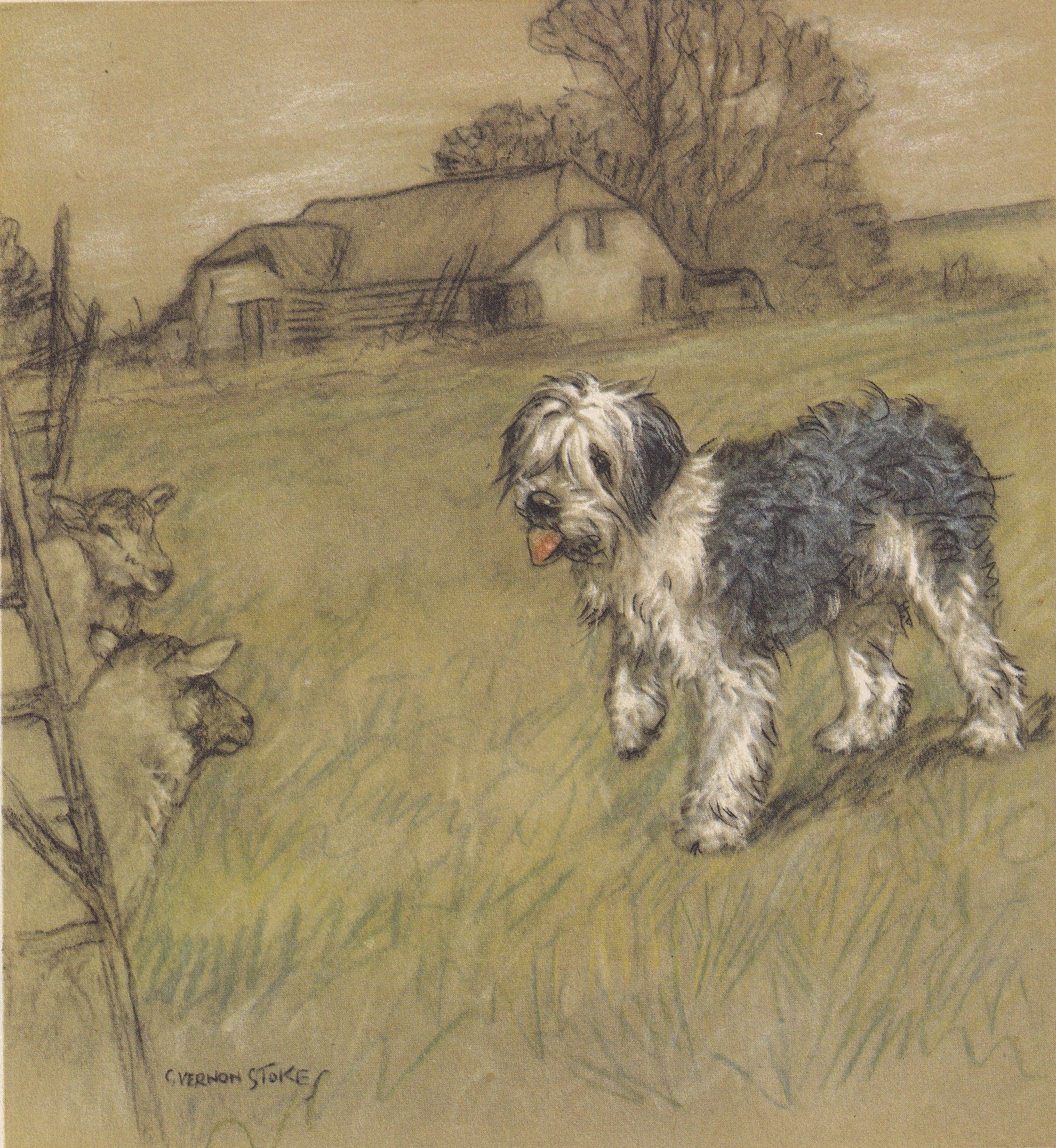 1947 OLD ENGLISH SHEEPDOG Print - Original Antique Dog Print - Vernon Stokes - Dog Wall Art - Dog Gift - 9.5 x 7.15 Inches