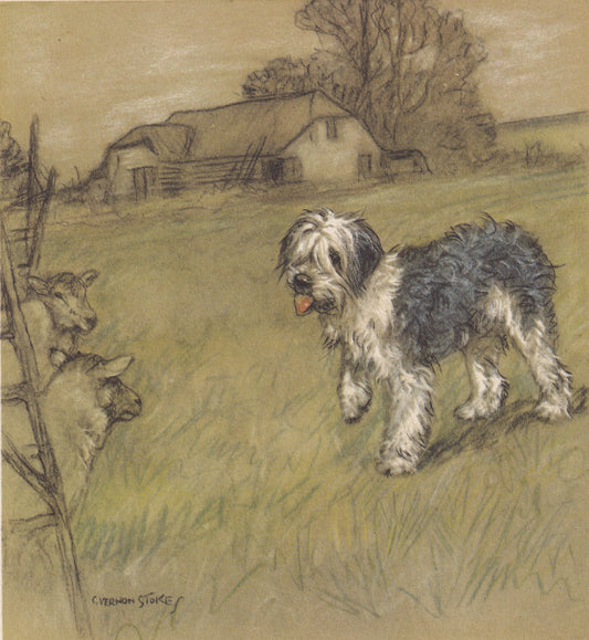 1947 OLD ENGLISH SHEEPDOG Print - Original Antique Dog Print - Vernon Stokes - Dog Wall Art - Dog Gift - 9.5 x 7.15 Inches