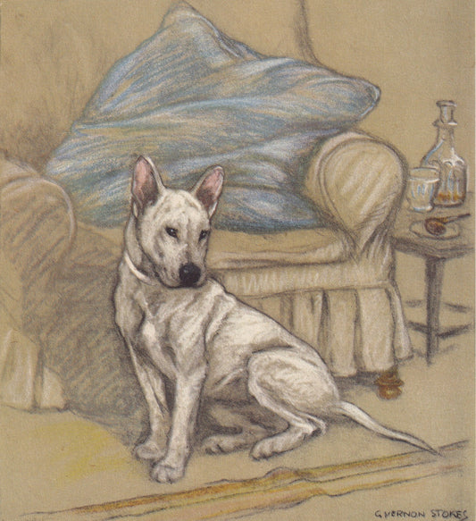 1947 BULL TERRIER DOG Print - Original Antique Dog Print - Vernon Stokes - Dog Wall Art - Dog Gift - 9.5 x 7.15 Inches