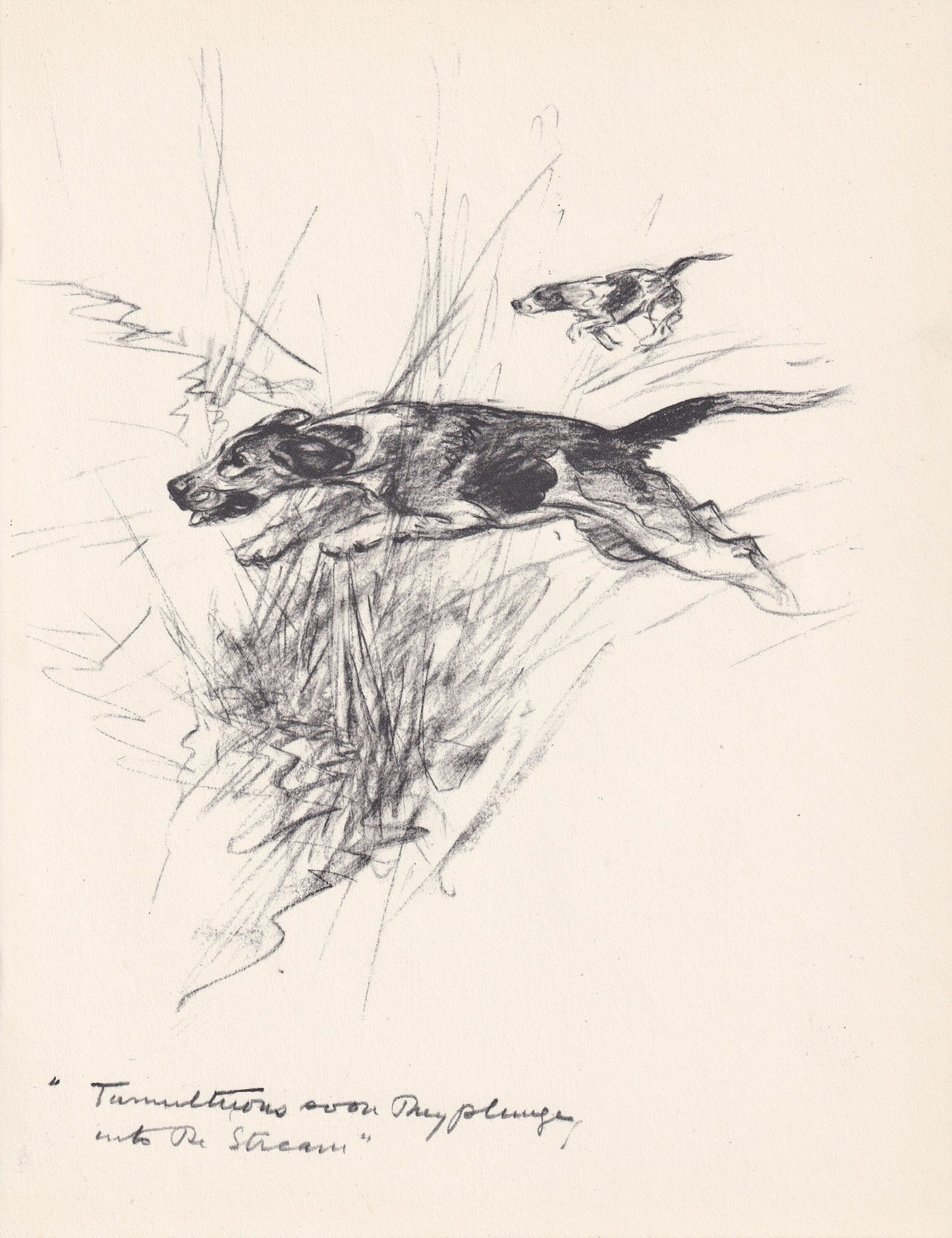 1936 FOXHOUND DOG Print - Original Antique Dog Print - Vernon Stokes - Dog Wall Art - Dog Gift - 11 x 8.4 Inches