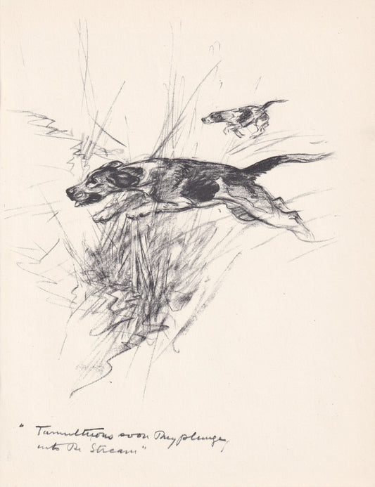 1936 FOXHOUND DOG Print - Original Antique Dog Print - Vernon Stokes - Dog Wall Art - Dog Gift - 11 x 8.4 Inches