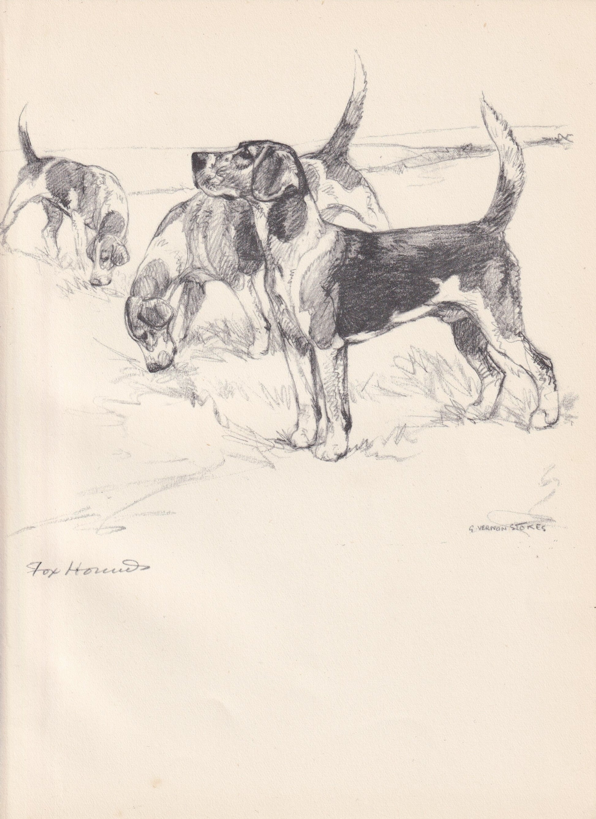 1938 FOXHOUND DOG Print - Original Antique Dog Print - Vernon Stokes - Dog Wall Art - Dog Gift - 9.75 x 7.15 Inches