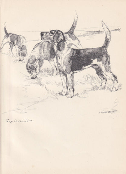 1938 FOXHOUND DOG Print - Original Antique Dog Print - Vernon Stokes - Dog Wall Art - Dog Gift - 9.75 x 7.15 Inches