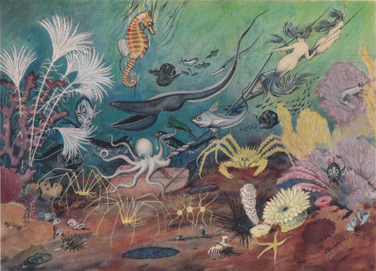 1934 MERMAID Print - Original Vintage Print - Sea Life - Crab, Octopus - Sea Wall Art - Mermaid Wall Art - 89 Years Old - 9.1
