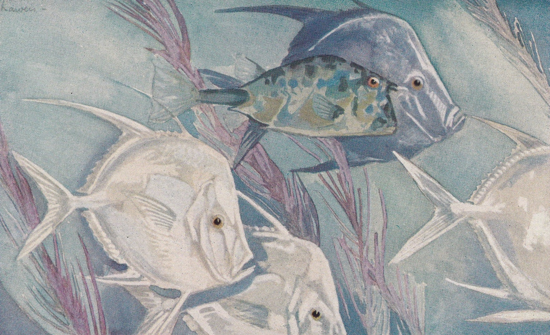 1934 TROPICAL FISH Print - Original Vintage Print - Sea Life Decor - Sea Wall Art - Tropical Fish Art - 89 Years Old - 9.15 x