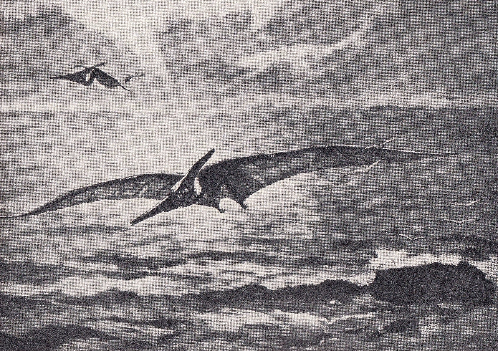 1934 PTERANODON Print - Original Vintage Print - Dinosaur Wall Art - Pteranodon Wall Art - Paleoart - 89 Years Old - 9.15 x 6