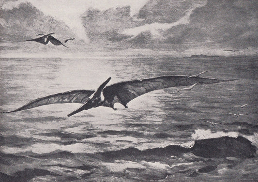 1934 PTERANODON Print - Original Vintage Print - Dinosaur Wall Art - Pteranodon Wall Art - Paleoart - 89 Years Old - 9.15 x 6