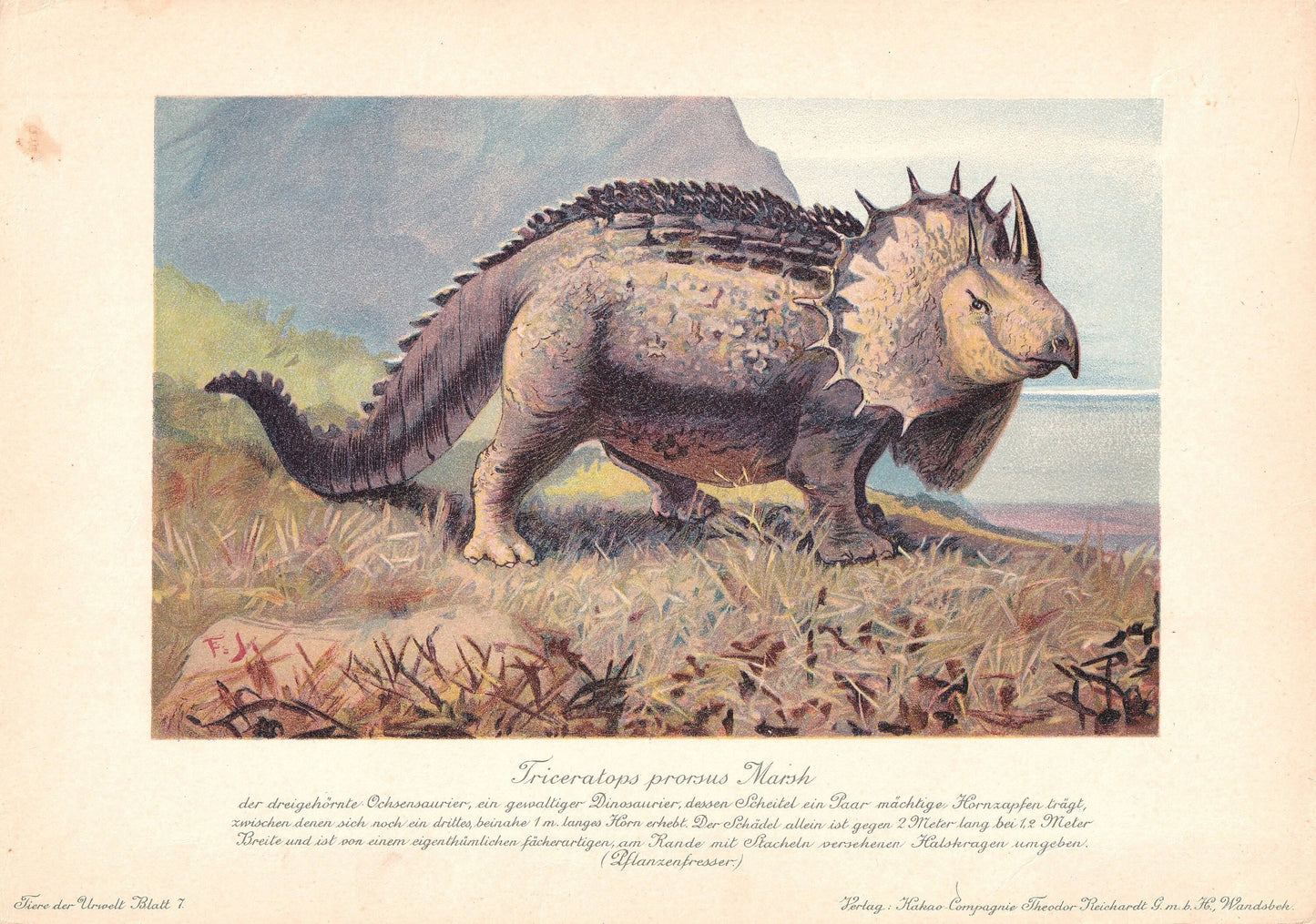 1902 TRICERATOPS DINOSAUR Print - Antique Dinosaur Print - Paleoart - Dinosaur Wall Art - 121 Years Old - 10.5 x 7.5 Inches