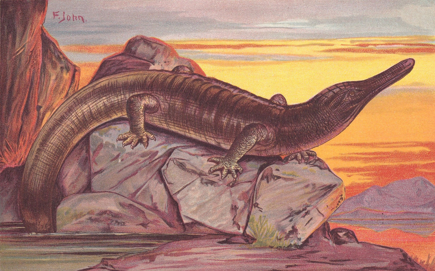 1902 ARCHEGOSAURUS DINOSAUR Print - Antique Dinosaur Print - Paleoart - Dinosaur Wall Art - 121 Years Old - 10.5 x 7.5 Inches