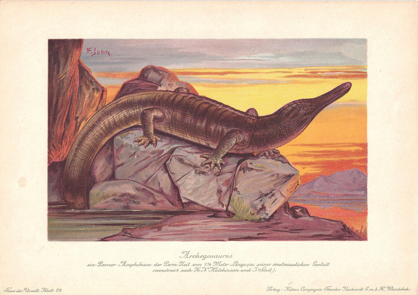1902 ARCHEGOSAURUS DINOSAUR Print - Antique Dinosaur Print - Paleoart - Dinosaur Wall Art - 121 Years Old - 10.5 x 7.5 Inches