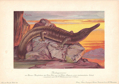 1902 ARCHEGOSAURUS DINOSAUR Print - Antique Dinosaur Print - Paleoart - Dinosaur Wall Art - 121 Years Old - 10.5 x 7.5 Inches